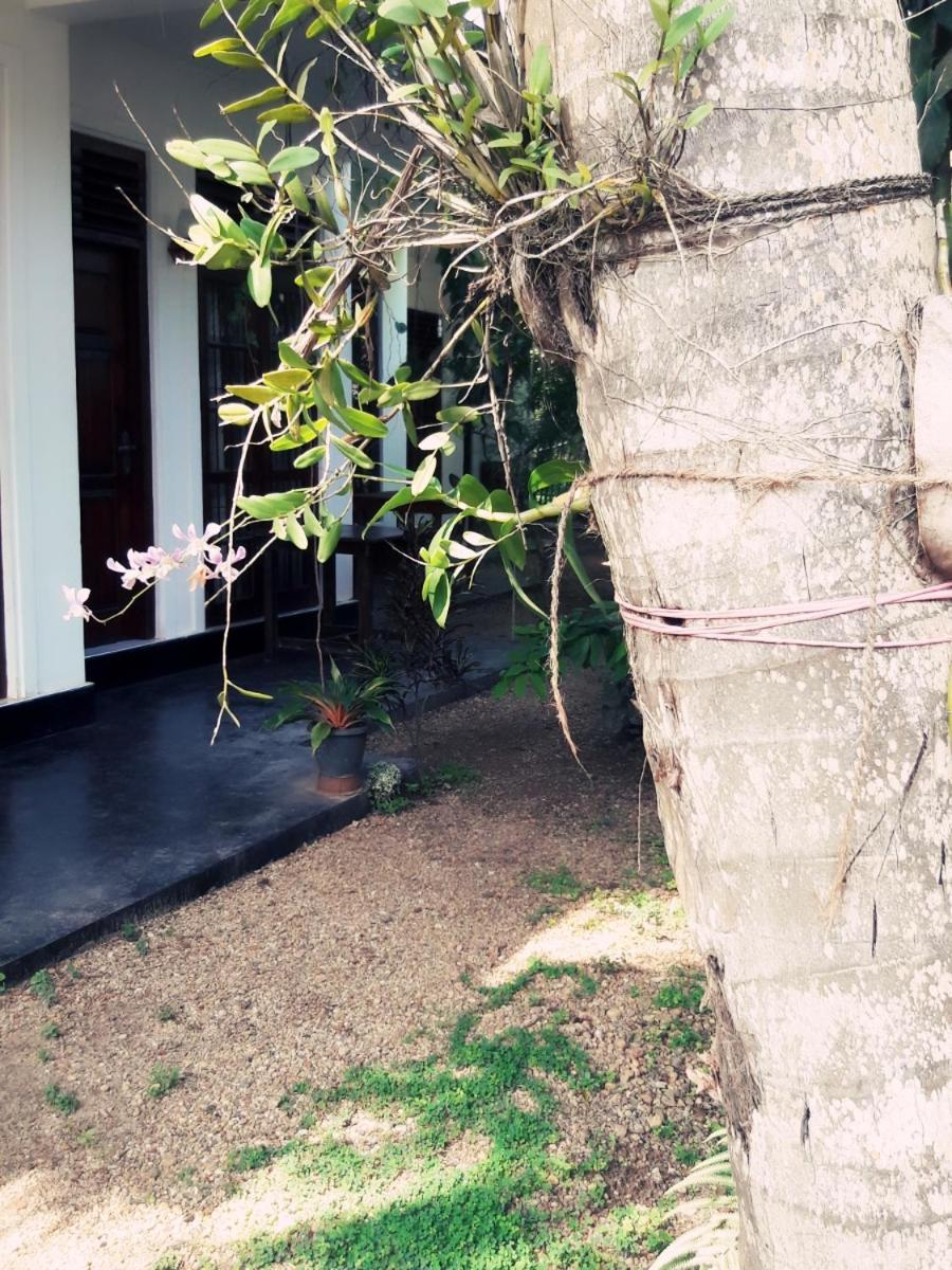 Serene Niche Mirissa Luaran gambar